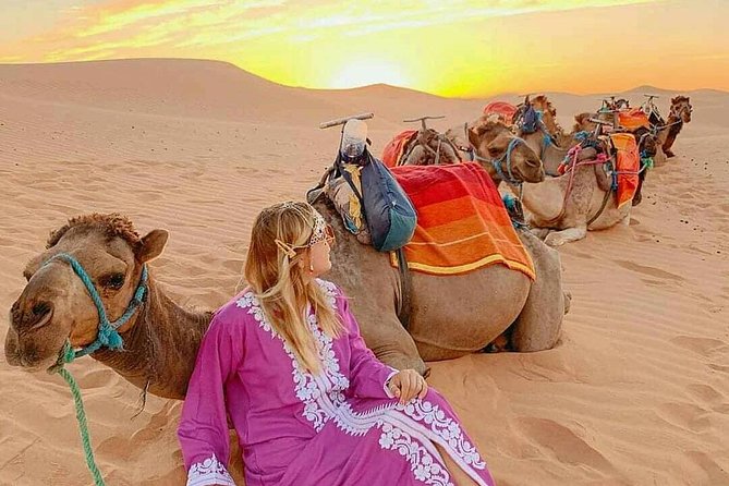 Morocco Imperial Cities & Desert Tour From Marrakech 9 Days 8 Nights - Exploring Marrakech