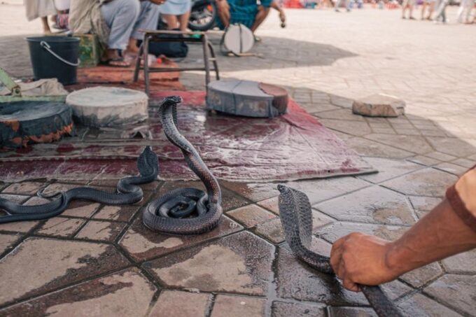 Morocco Journey 9 Days Casablanca To Marrakesh - Transportation Options