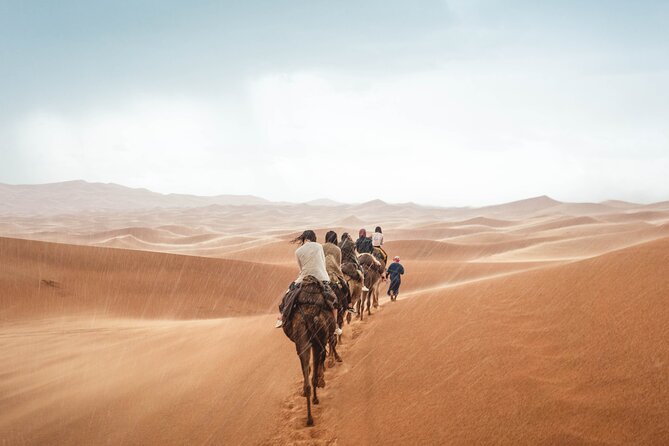 Morocco Tour Start From Casablanca 8 Days - Tour Highlights