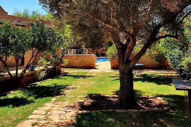 Morocco Vineyard Visit and Gourmet Tours - Accessibility and Additional Info