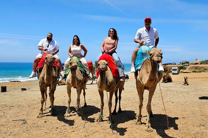 Morocco:Tangier Private Tour From Malaga Province or Tarifa - Important Information