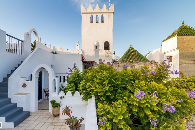Morocco:Tangier Private Tour From Malaga Province or Tarifa - Customer Reviews