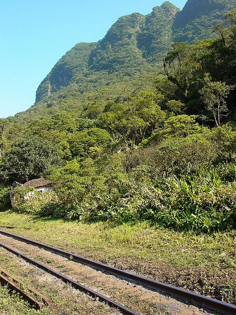 Morretes: Full Day Colonial Town Tour From Curitiba - Inclusions