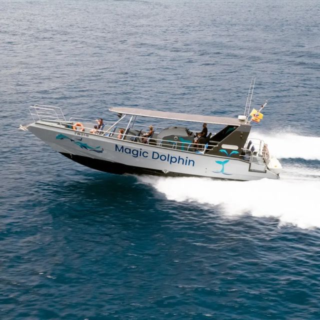 Morro Jable: Dolphin & Whale Watching Cruise, Drinks & Swim - Experience Highlights