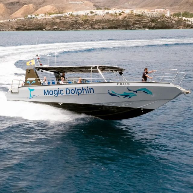 Morro Jable: Dolphin & Whale Watching Cruise, Drinks & Swim - Customer Feedback
