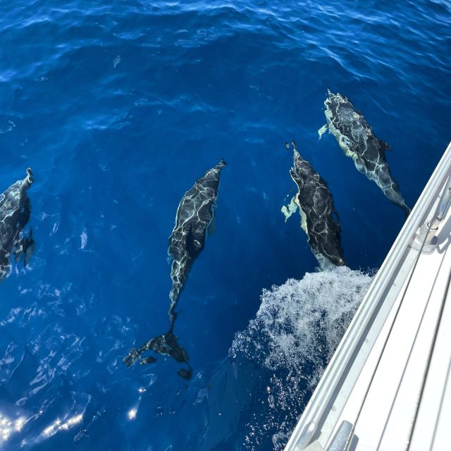 Morro Jable: Sailing Boat Excursion With Food and Drinks - Swim With Marine Life