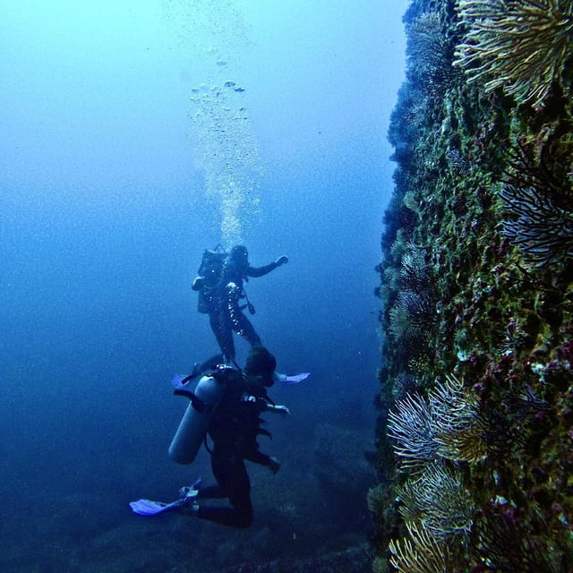 Morros De Potosi: Dive Into the Mysteries of the Night - Underwater Exploration