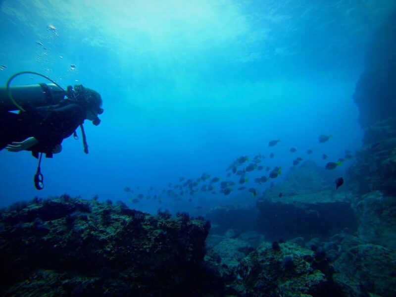 Morros De Potosi: Dive Into the Mysteries of the Night - Dive Gear Provided