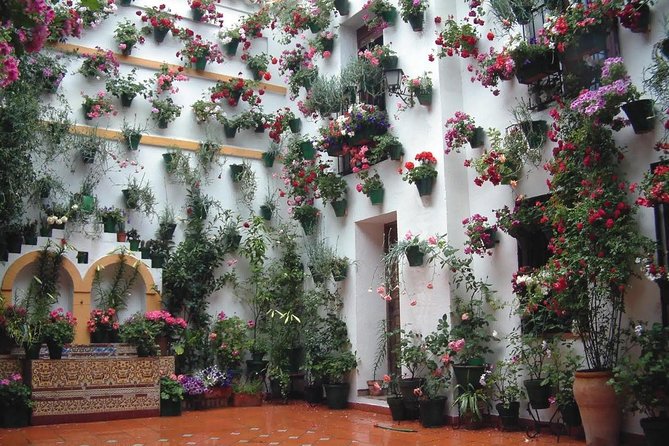 Mosque, Alcazar of the Christian Monarchs and Juderia - Ratings and Traveler Feedback