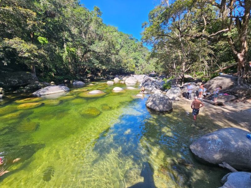Mossman Gorge, Daintree Rainforest + Aboriginal Fishing Tour - Daintree Rainforest Walking Tour