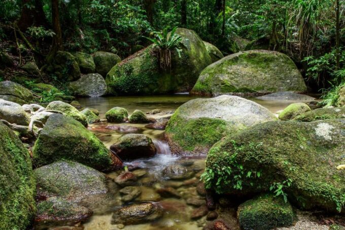 Mossman Gorge, Daintree Rainforest + Aboriginal Fishing Tour - Required Guests Provisions