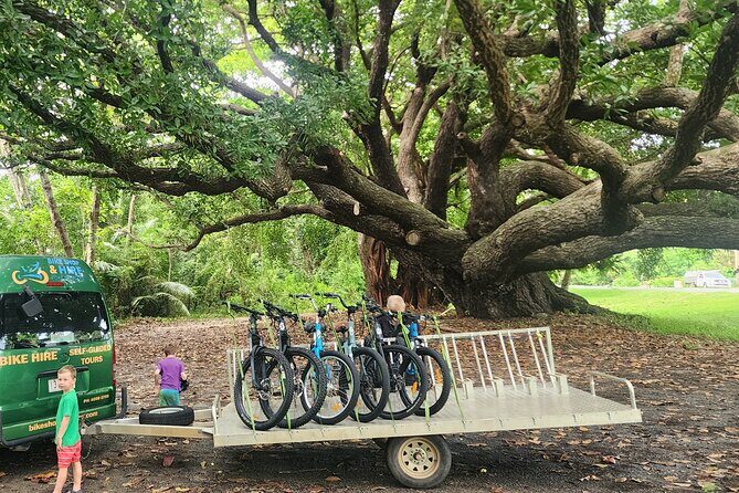 Mossman Highlights eBike Tour - Who Will Love This Tour?