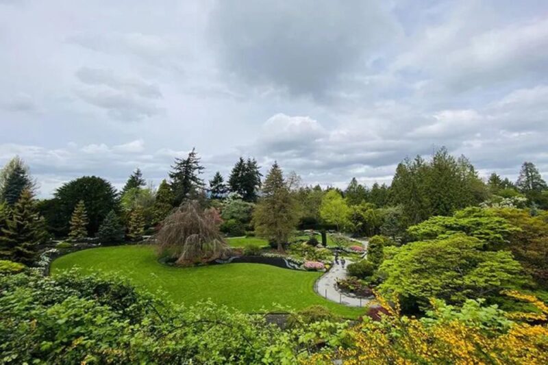 Most Affordable Vancouver City Tour - Tour Experience and Highlights