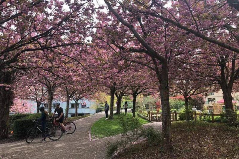 Most Affordable Vancouver City Tour - Booking Information