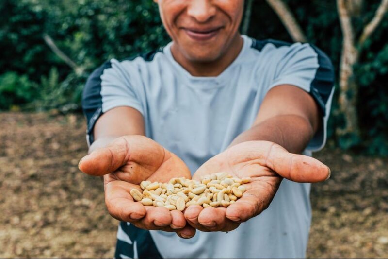 Most Complete COFFEE TOUR at Local Family Farm - Key Points