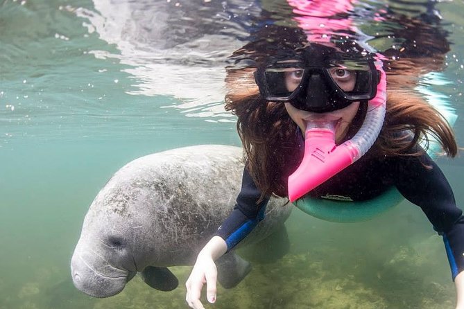 Most Popular 3hr Manatee Swim Tour + In-Water Guide! - Whats Included