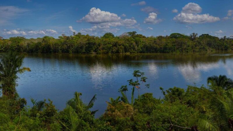 Mother of God | 4 Days Tambopata Tour With Ayahuasca Ceremony - Ayahuasca Ceremony