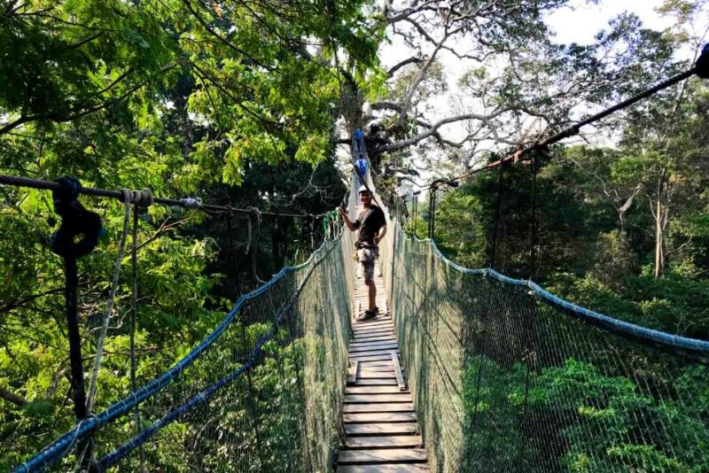 Mother of God: Saldoval Lake + Visit to the Macaws - Exploring the Peruvian Jungle