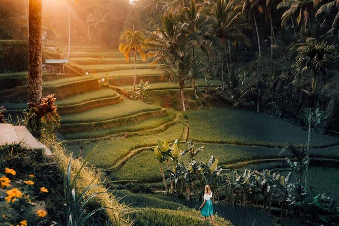 Mother Temple of Bali : Besakih Temple Full Day Tour - Besakih Temple Highlights
