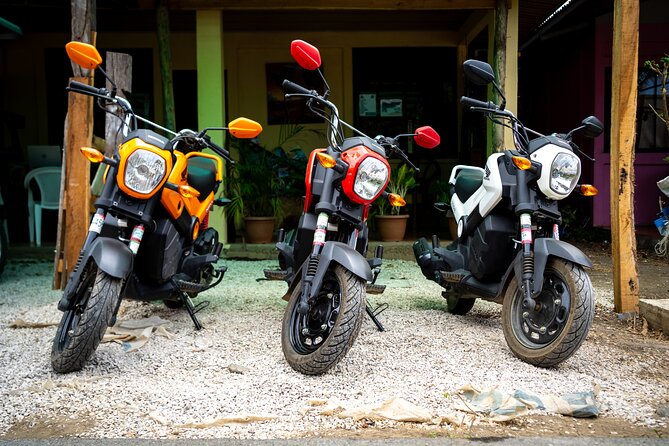 Moto Rentals in Playa Potrero and Flamingo - Key Points