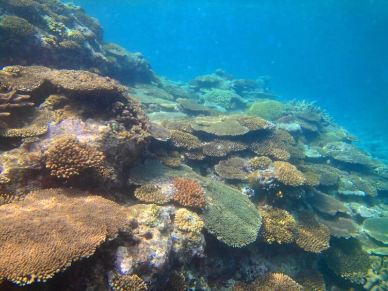 Motobu: Kayak and Snorkel Private Booking - Detailed Itinerary