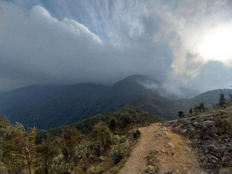 Motorbike Tour: Waterfall, Lonely Tree, and Green Tea Hill - Included Features