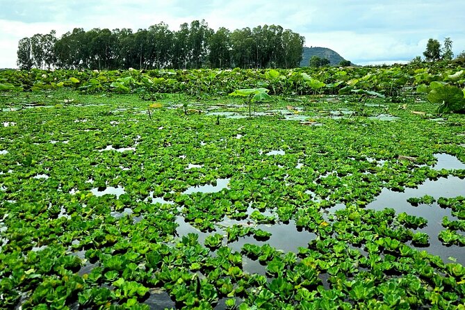 Motorbike Tour With Expert Guide To Explore Krong Siem Reap - Customer Reviews and Ratings