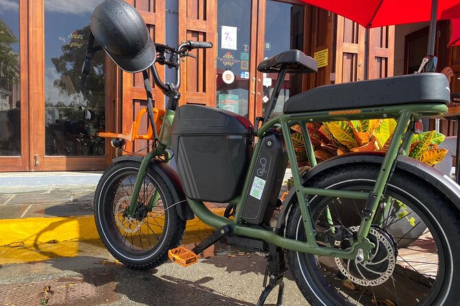 Motorcycle Style Ebike Fat Tire Rental in Puerto Rico - Explore the Terrain