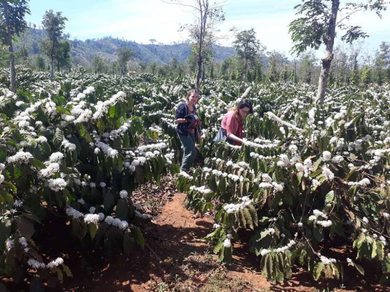 Motorcycle Tour - Exploring Dalat Countryside Day Tour - Itinerary Highlights