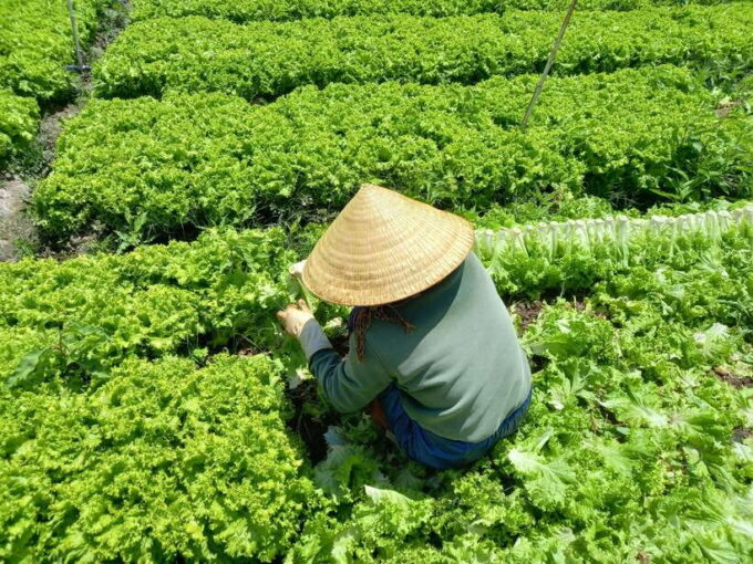 Motorcycle Tour - Exploring Dalat Countryside Day Tour - Exploring Robin Hill Cable Car
