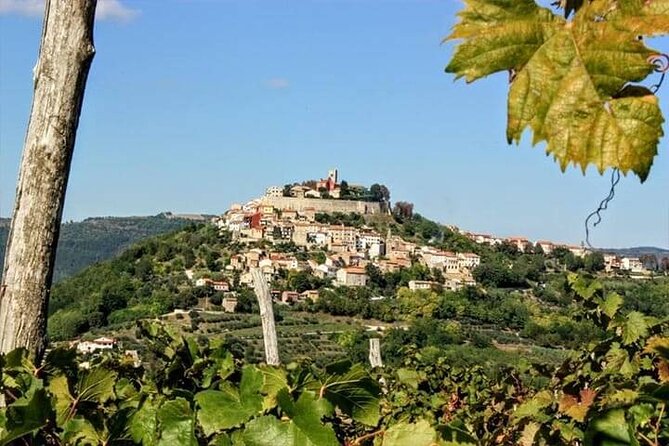 Motovun - Amazing Views & Tasty Truffles (From Rovinj) - Truffle Tasting Experience