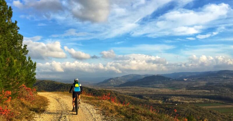 Motovun: E-Bike Tour in Istria - Tour Experience