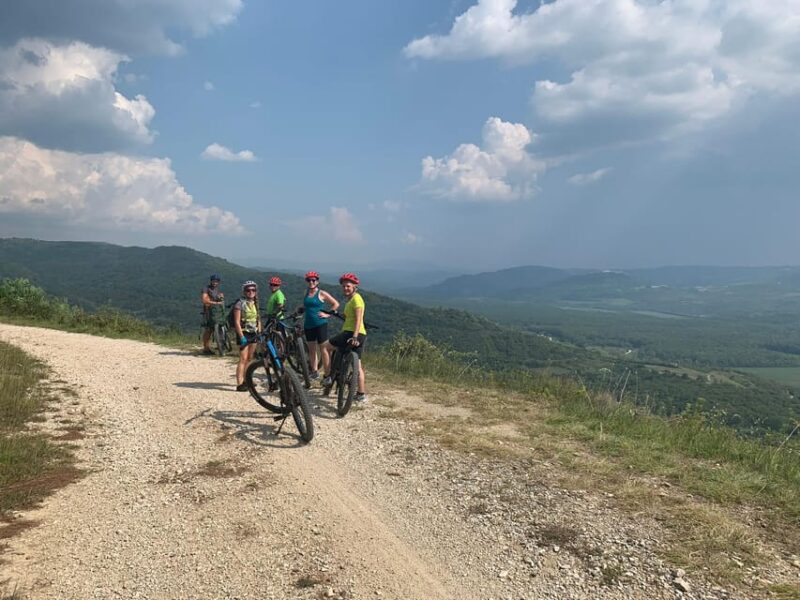 Motovun: E-Bike Tour in Istria - Participant Restrictions