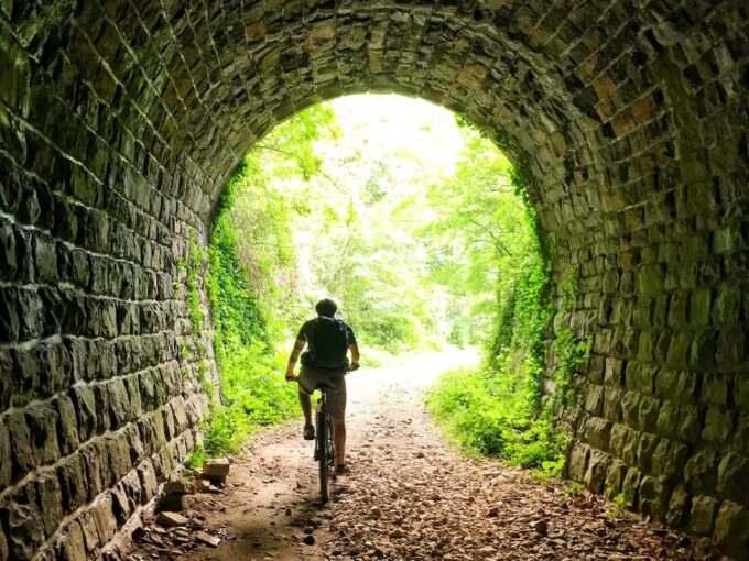 Motovun: E-Bike Tour in Istria - Contact Details