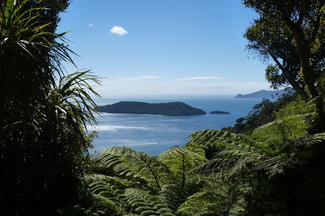 Motuara Island Bird Sanctuary and Ship Cove Cruise From Picton - Wildlife and Nature