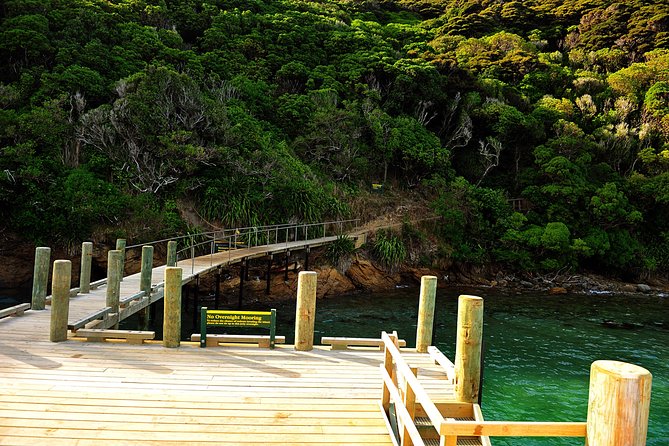 Motuara Island Bird Sanctuary and Ship Cove Cruise From Picton - What to Bring