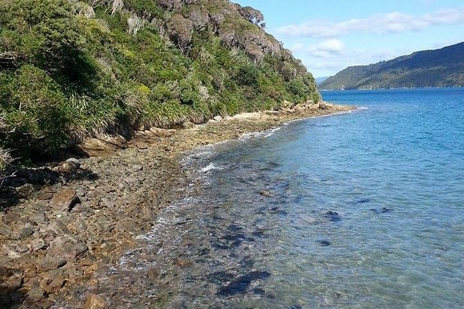 Motuara Island Bird Sanctuary and Ship Cove Cruise From Picton - Onboard Purchases
