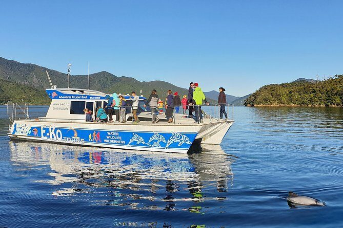 Motuara Wildlife Sanctuary Tour and Dolphin Cruise from Picton - An Authentic Look at the Experience