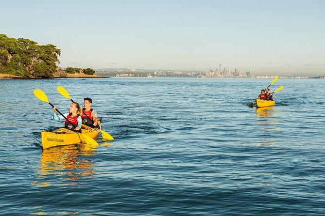 Motukorea / Browns Island Sea Kayak Journey - Experience Level and Group Size