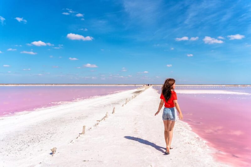 Motul, Hacienda, Xcambo, Pink Salt Mine & Progreso Day Trip - Itinerary and Experiences