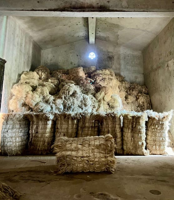 Motul, Hacienda, Xcambo, Pink Salt Mine & Progreso Day Trip - Customer Reviews and Feedback