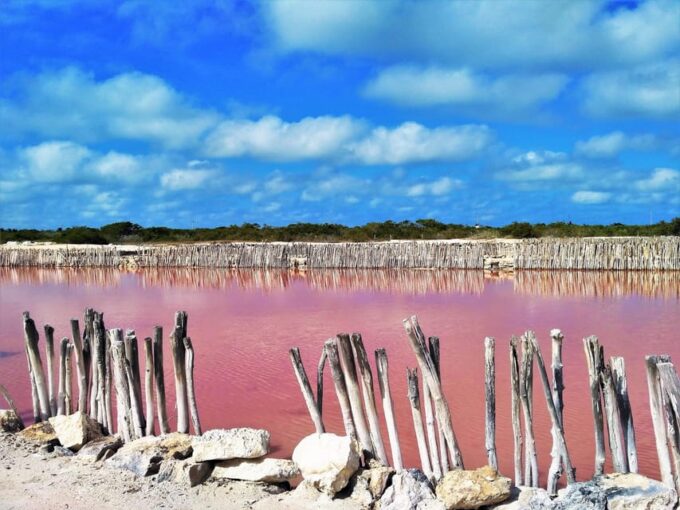 Motul, Hacienda, Xcambo, Pink Salt Mine & Progreso Day Trip - Guided Tour of Hacienda San Eduardo