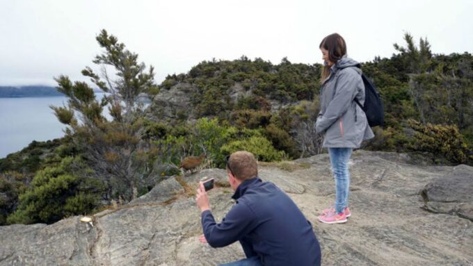 Mou Waho Island 3-Hour Cruise and Nature Walk - Customer Reviews and Ratings
