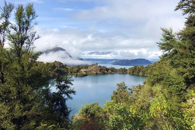 Mou Waho Island Cruise and Guided Nature Walk - Traveler Feedback