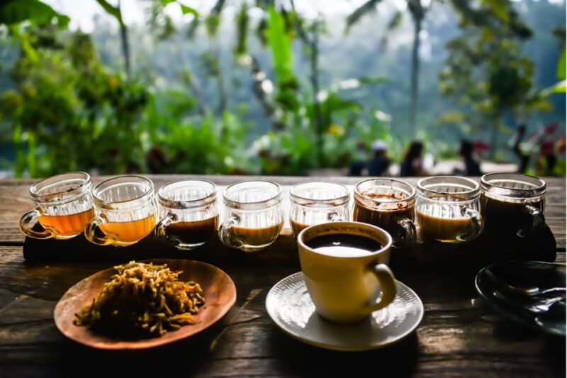 Mount Agung Trek: Sunrise Climb & Cultural Insights - Highlights and Experiences