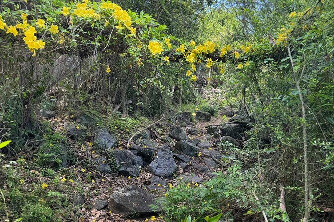 Mount Alma Hike And Beach Excursion (cruise ship friendly ) - Practical Details & Value