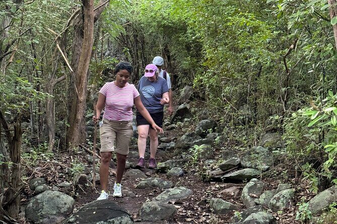 Mount Alma Hike And Beach Excursion (cruise ship friendly ) - FAQ