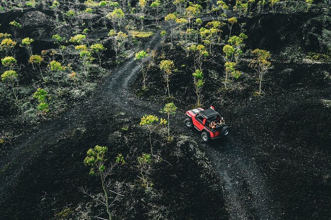 Mount Batur 4WD Jeep, Breakfast and Hot Spring All Inclusive - Pickup Information