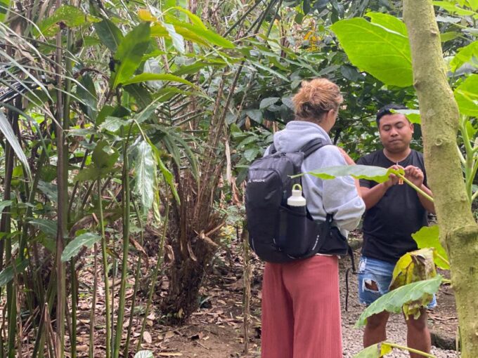 Mount Batur 4WD Jeep Sunrise Tour Experience - Cancellation Policy