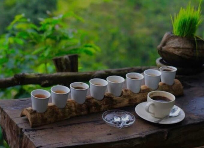 Mount Batur Sunrise Jeep & Hotspring Tour - Inclusions